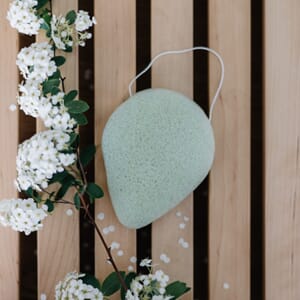 Konjac Svamp til ansikt. innsatt med "Aloe Vera".