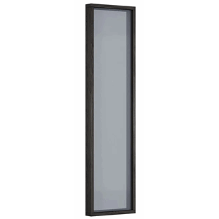 Badstuvindu svart 5X19 Grått glass