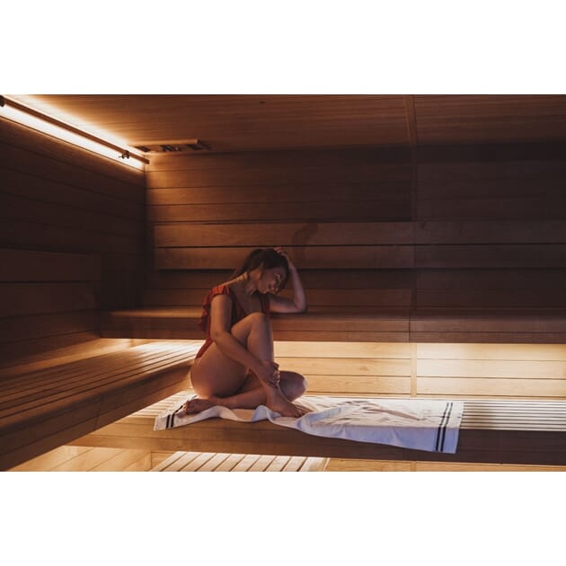 Sauna_BLANK_Lighting_BLANK_Silhouette_BLANK_Line1.jpg