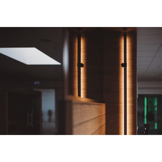 Sauna_BLANK_Lighting_BLANK_Silhouette_BLANK_Line4.jpg